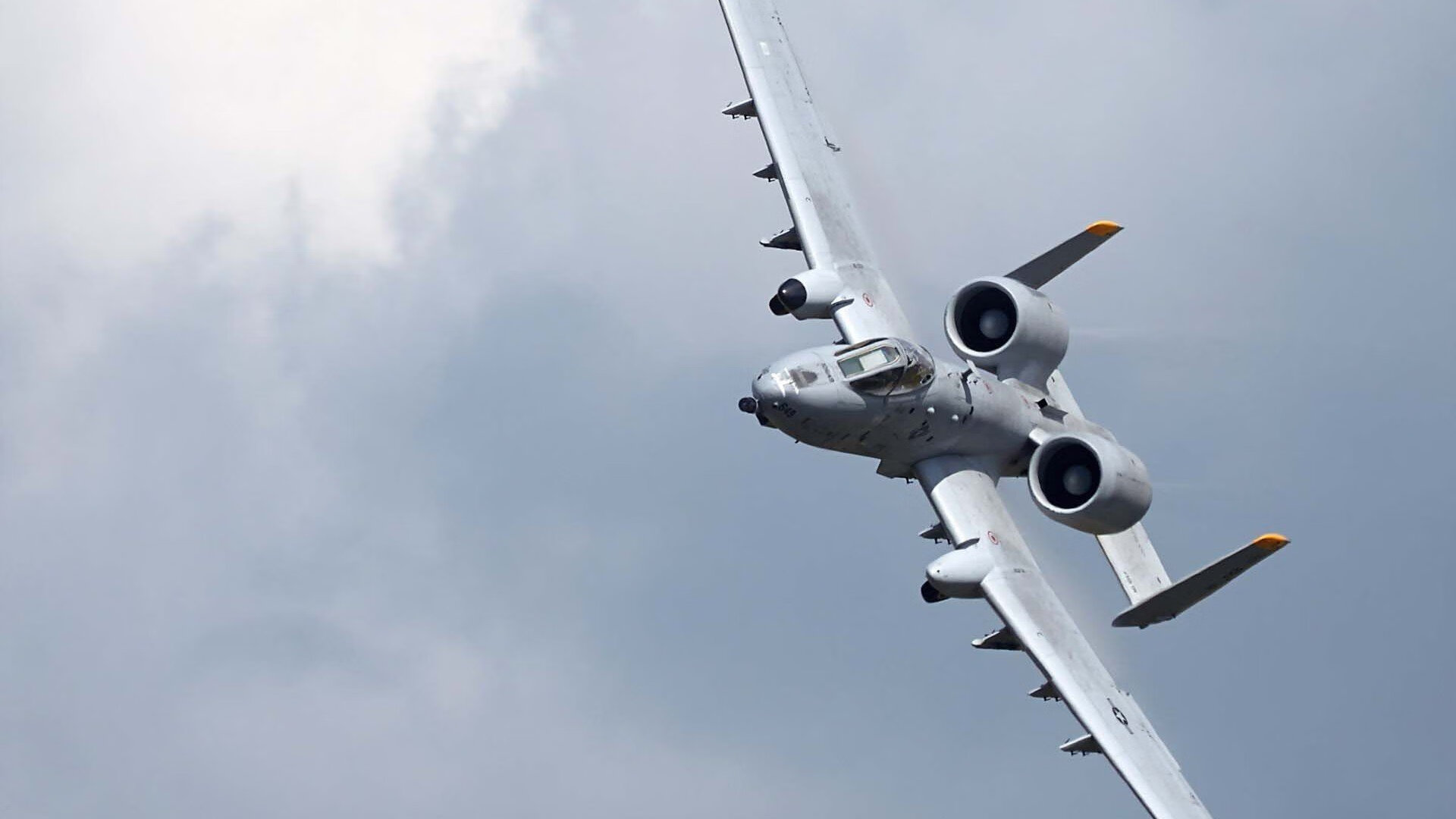 九游娱乐官方-加克波爆发破局，牙买加式节奏掌控让厄瓜多尔迷失